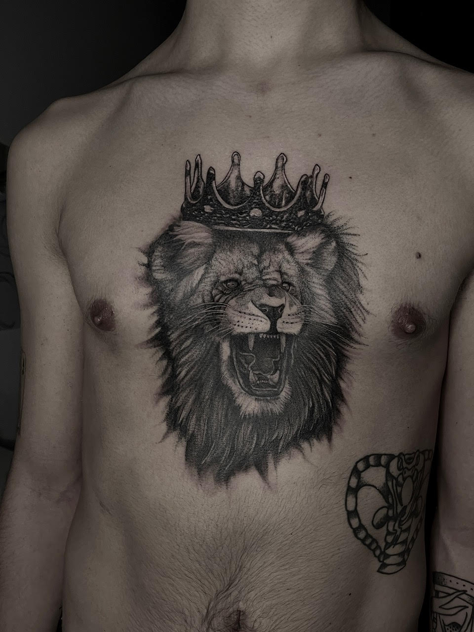 Lion tattoo