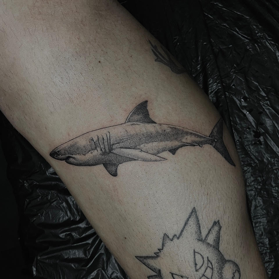 Shark tattoo